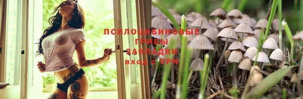 тгк Алзамай
