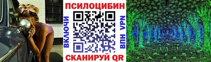 Псилоцибиновые грибы прущие грибы  мориарти клад  Бодайбо  продажа наркотиков 