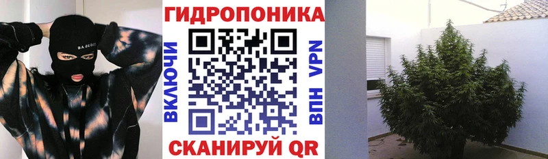 Шишки марихуана Ganja  Бодайбо 